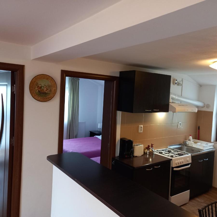 Charter Apartments Costea Sibiu Esterno foto